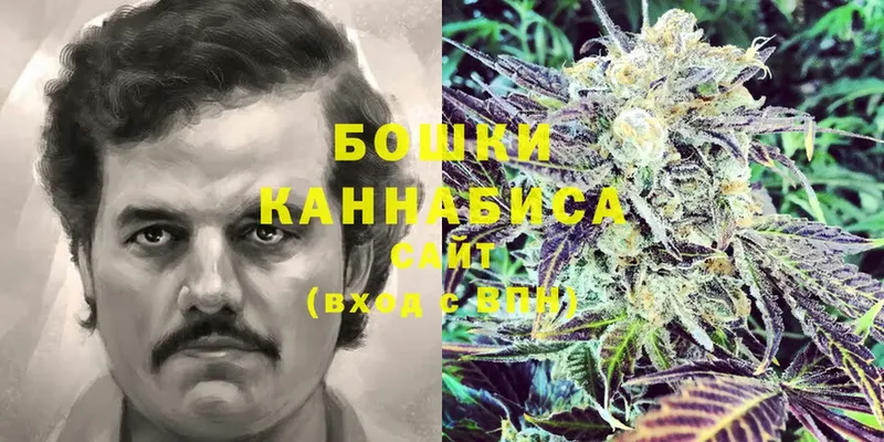 Каннабис Ganja  Нолинск 